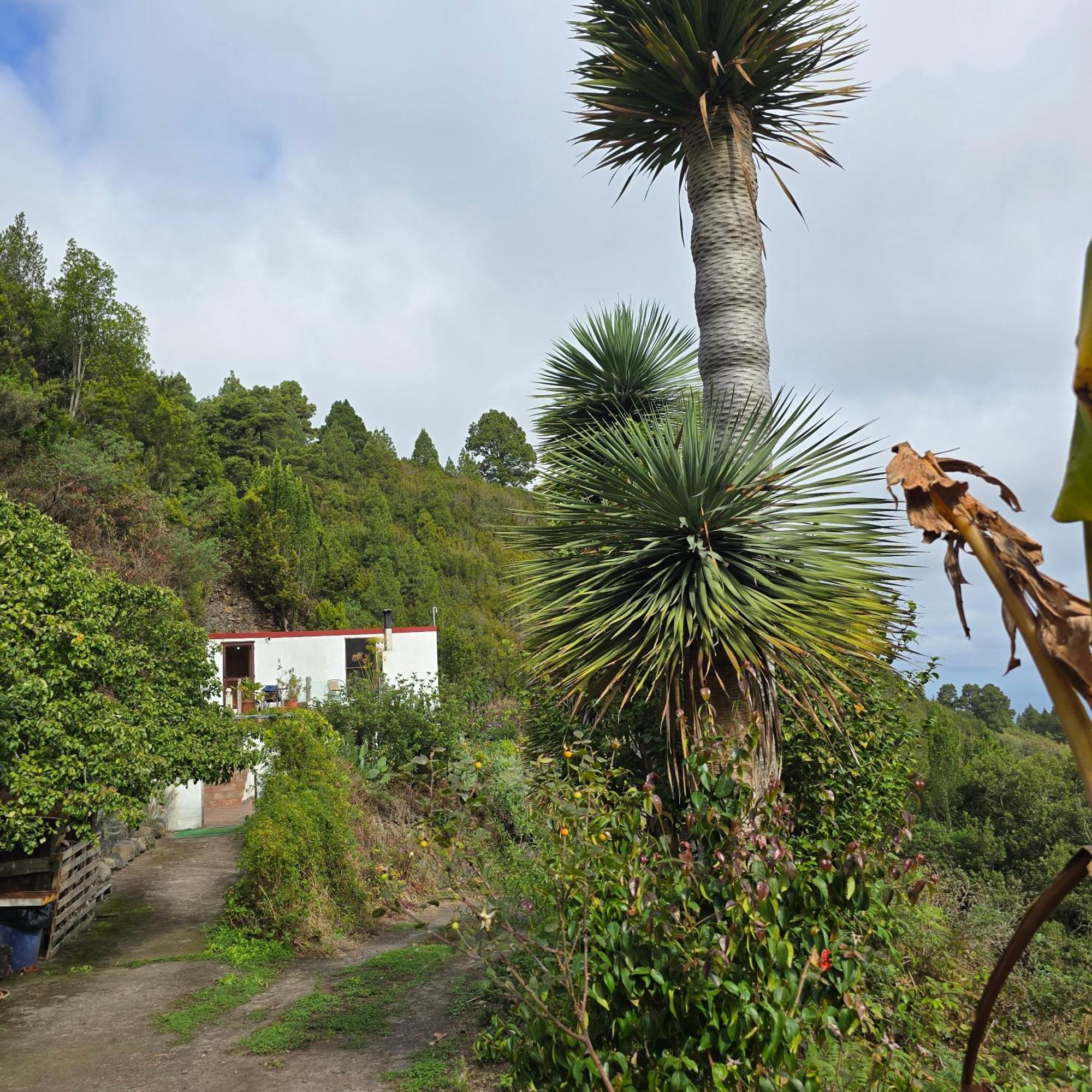 Freedom Villa El Tablado Exterior photo